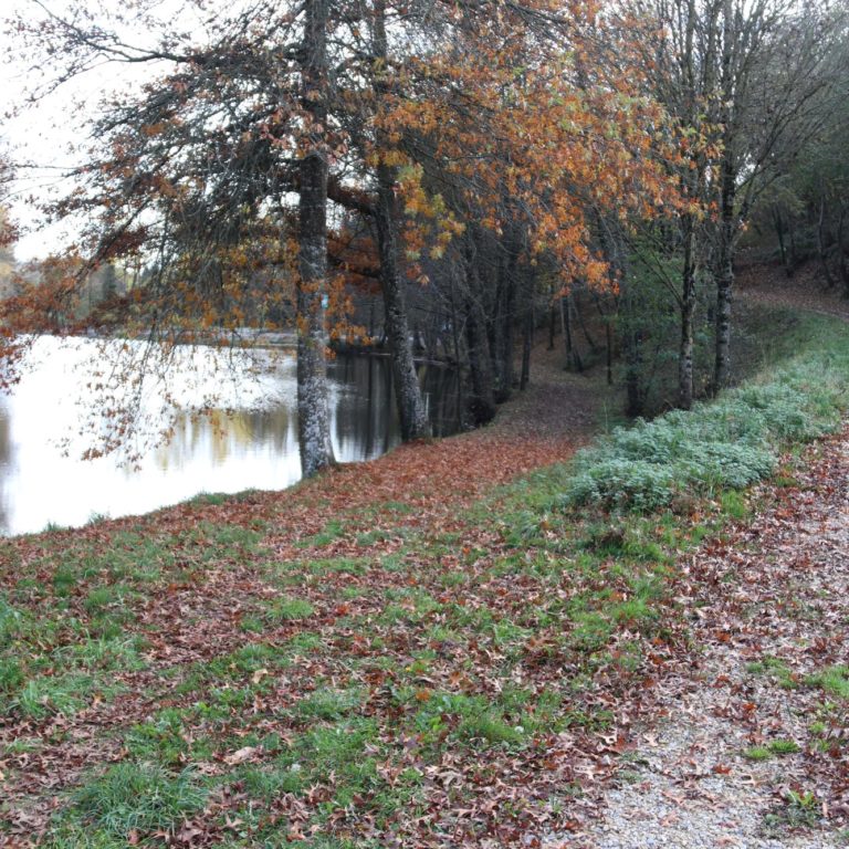 carcenac-peyrales