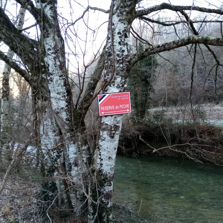 Les réserves de pêche