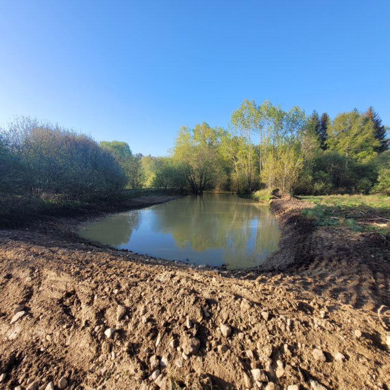 Création d&rsquo;une frayère à poissons sur le lac de Lenne